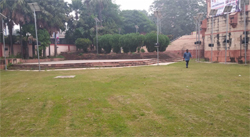 लेफ्ट साइड स्मॉल