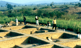  उ०प्र० राज्य पुरातत्व संगठन 